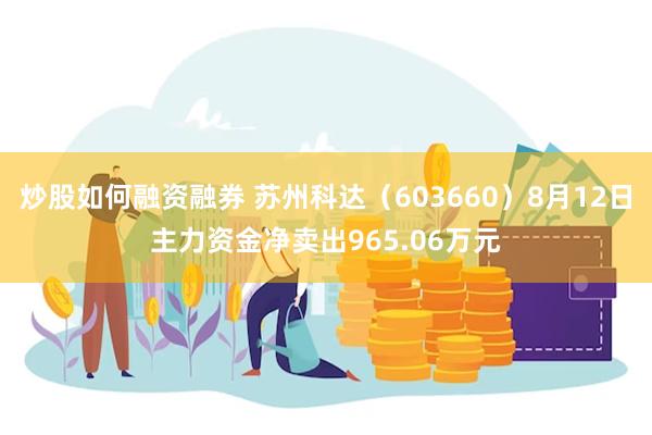 炒股如何融资融券 苏州科达（603660）8月12日主力资金净卖出965.06万元