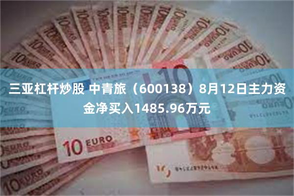 三亚杠杆炒股 中青旅（600138）8月12日主力资金净买入1485.96万元