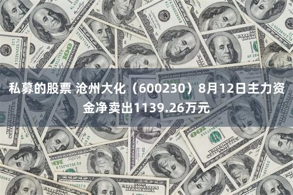 私募的股票 沧州大化（600230）8月12日主力资金净卖出1139.26万元