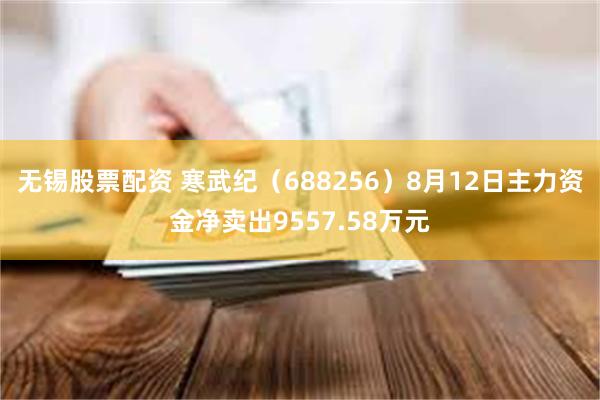 无锡股票配资 寒武纪（688256）8月12日主力资金净卖出9557.58万元