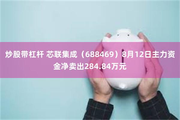 炒股带杠杆 芯联集成（688469）8月12日主力资金净卖出284.84万元