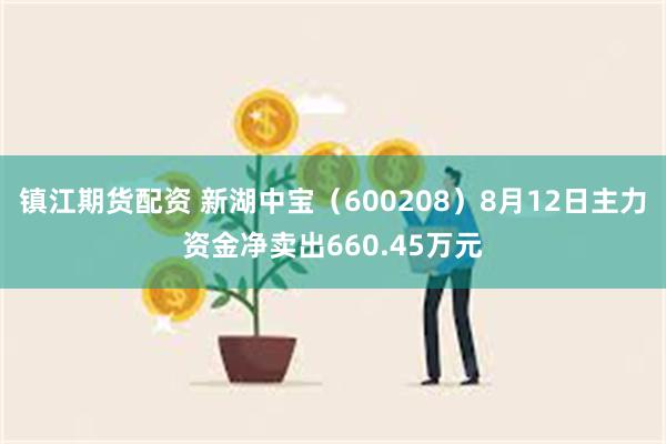 镇江期货配资 新湖中宝（600208）8月12日主力资金净卖出660.45万元