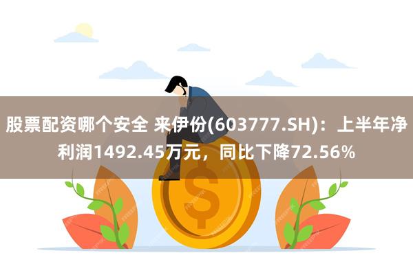 股票配资哪个安全 来伊份(603777.SH)：上半年净利润1492.45万元，同比下降72.56%