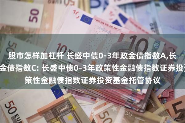 股市怎样加杠杆 长盛中债0-3年政金债指数A,长盛中债0-3年政金债指数C: 长盛中债0-3年政策性金融债指数证券投资基金托管协议