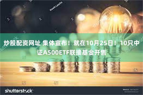 炒股配资网址 集体宣布！就在10月25日！10只中证A500ETF联接基金开售